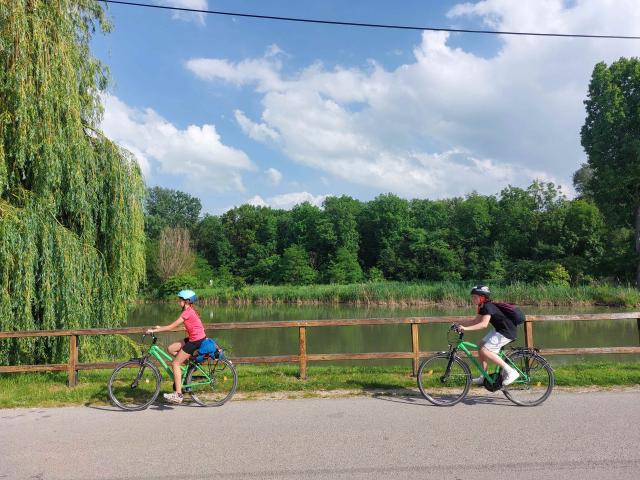 Bild 12
