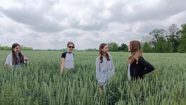 Bild 15