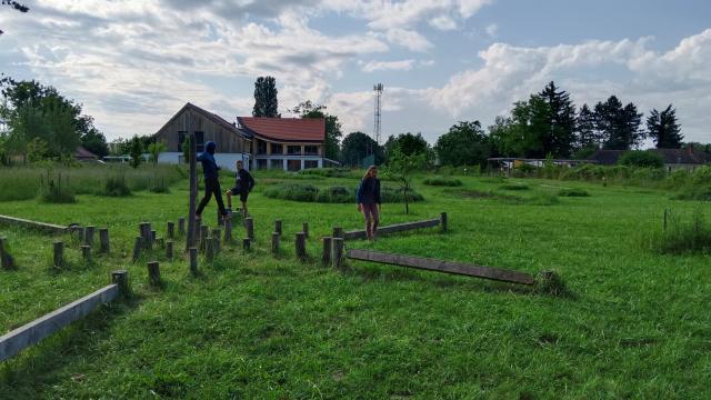 Bild 17