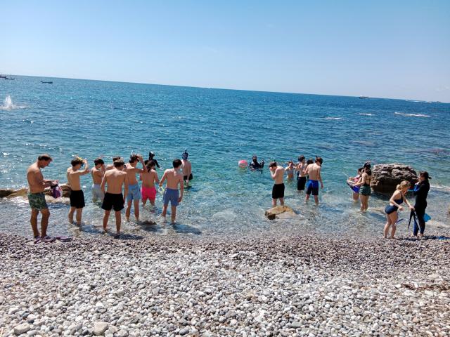 IMG_20240522_110241 1